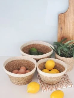 Korissa Savar Plant Bowl Set Home Goods