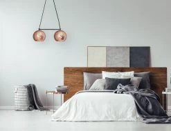 Dounia Home Lighting Shams Dual Globe Chandelier