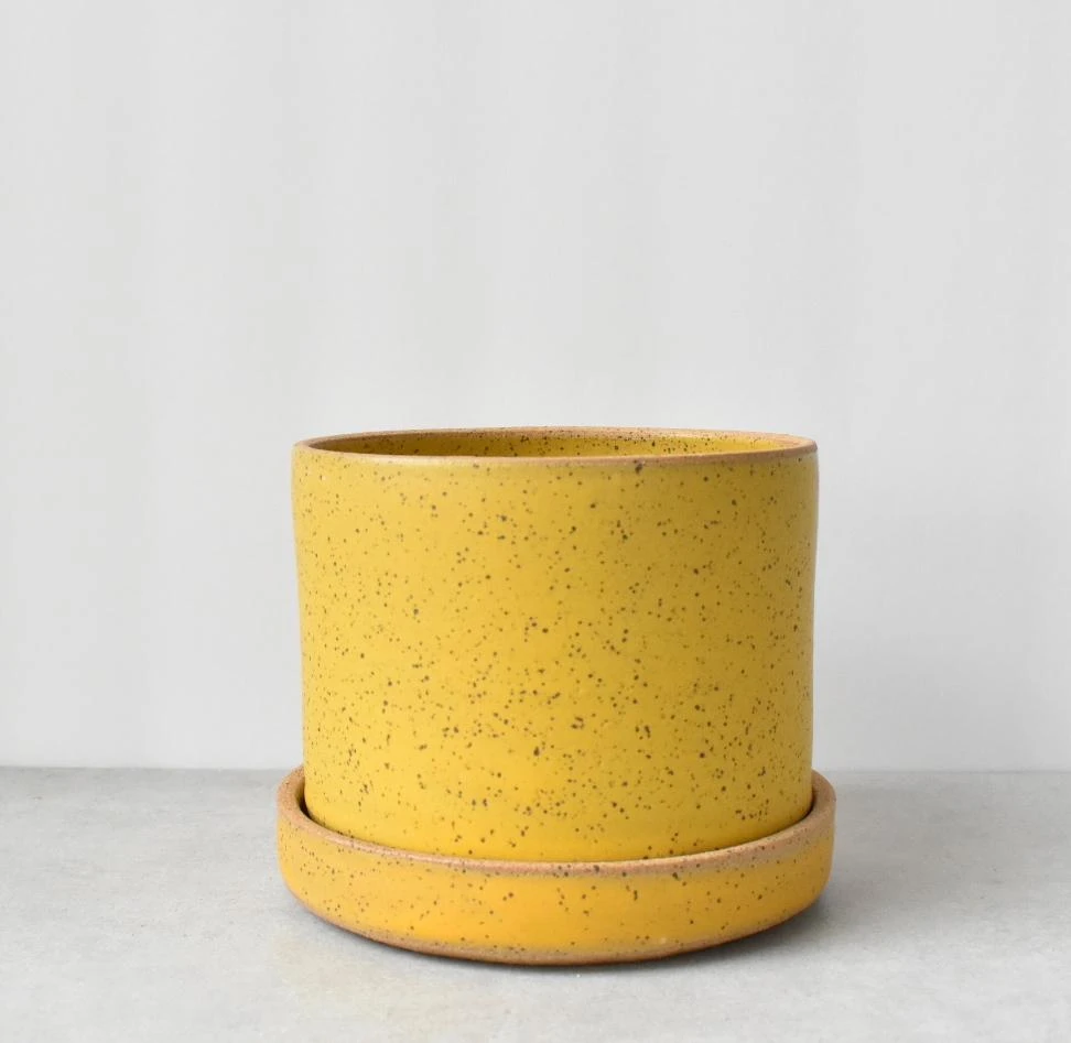 Katie Mudd Best Sellers Simple Dandelion Stoneware Planter Set 3 Katie Mudd Best Sellers Simple Dandelion Stoneware Planter Set