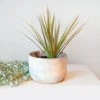 Moonshine Design Speckled Stoneware Planter