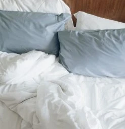 Eucalypso Tencel Eucalyptus Pillowcase Set