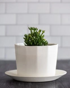 The Bright Angle Native Porcelain Planter - Silk White Home Goods 11 The Bright Angle Native Porcelain Planter - Silk White Home Goods