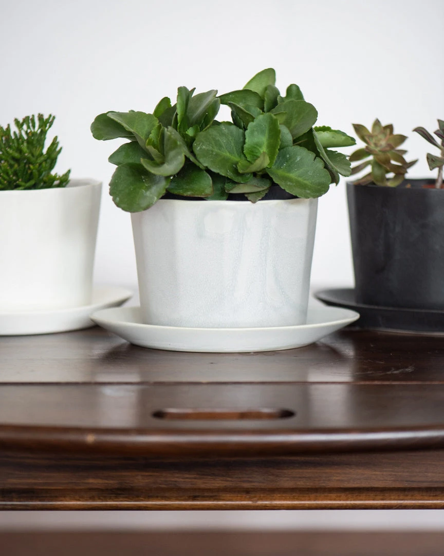 The Bright Angle Native Porcelain Planter - Smoke Gray Home Goods 5 The Bright Angle Native Porcelain Planter - Smoke Gray Home Goods