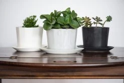 The Bright Angle Native Porcelain Planter - Smoke Gray Home Goods 10 The Bright Angle Native Porcelain Planter - Smoke Gray Home Goods