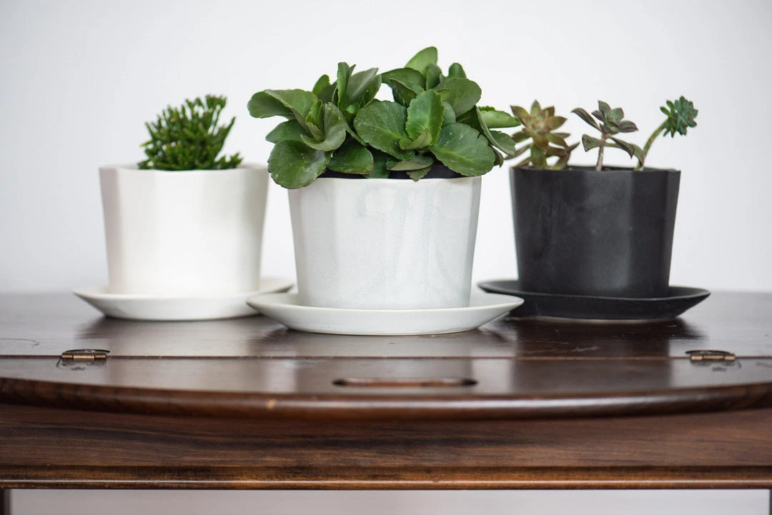 The Bright Angle Native Porcelain Planter - Smoke Gray Home Goods 6 The Bright Angle Native Porcelain Planter - Smoke Gray Home Goods