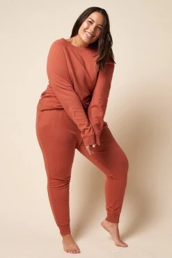 The Standard Stitch Classic Jogger - Clay