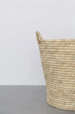 Will & Atlas Best Sellers Palm Leaf Laundry Basket - Oval