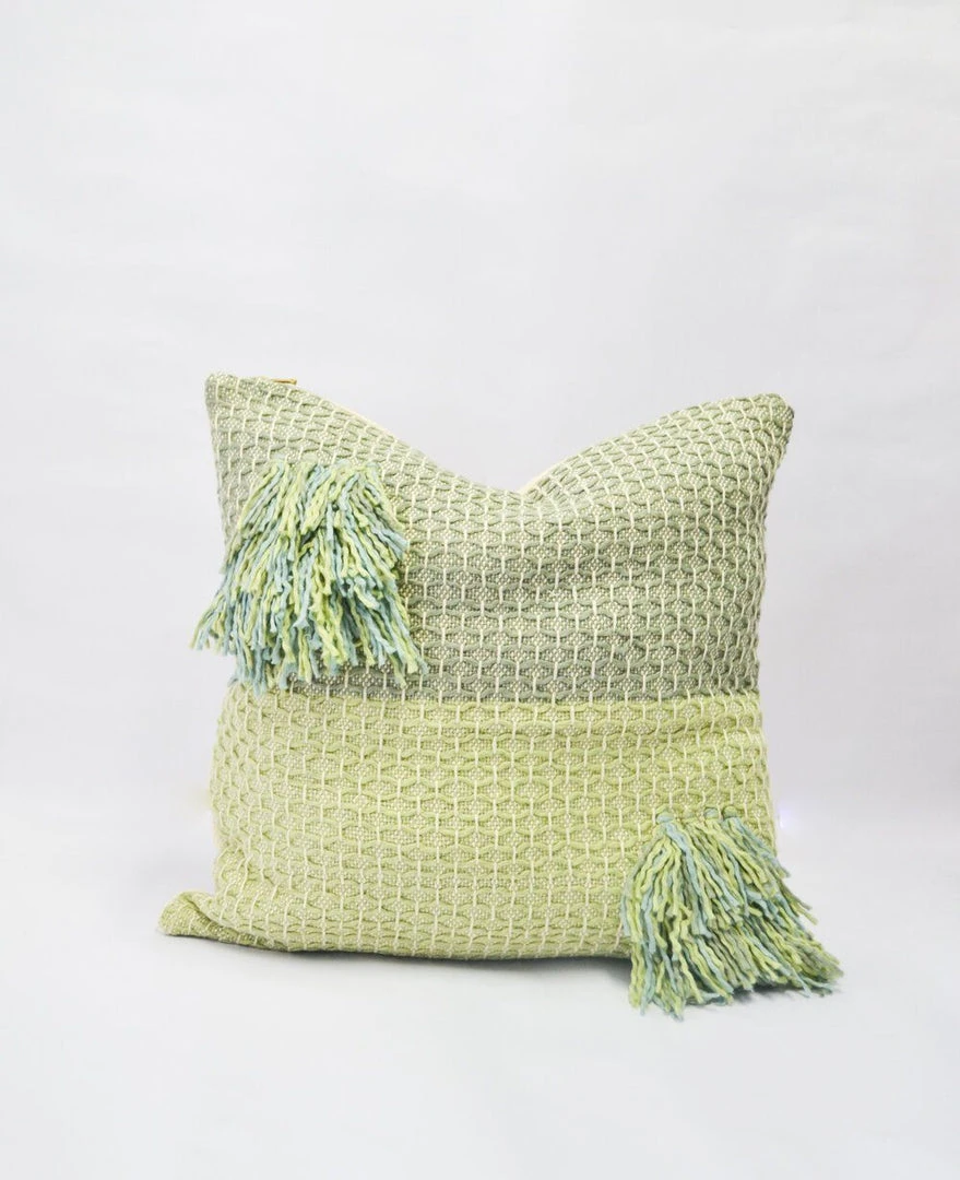 Zuahaza Diamond Feijoa Throw Pillow Cover 3 Zuahaza Diamond Feijoa Throw Pillow Cover